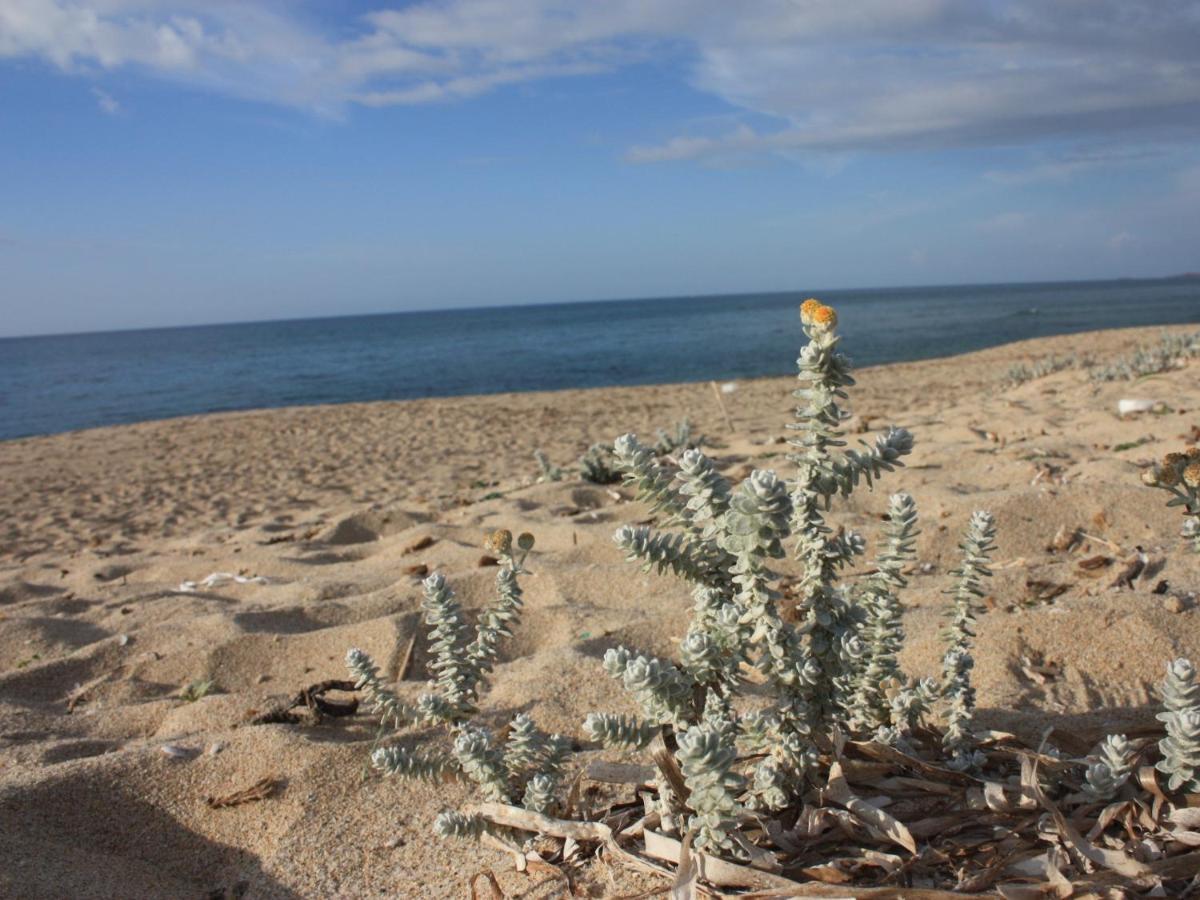 شقة Mare Di Ginepri باديسي المظهر الخارجي الصورة
